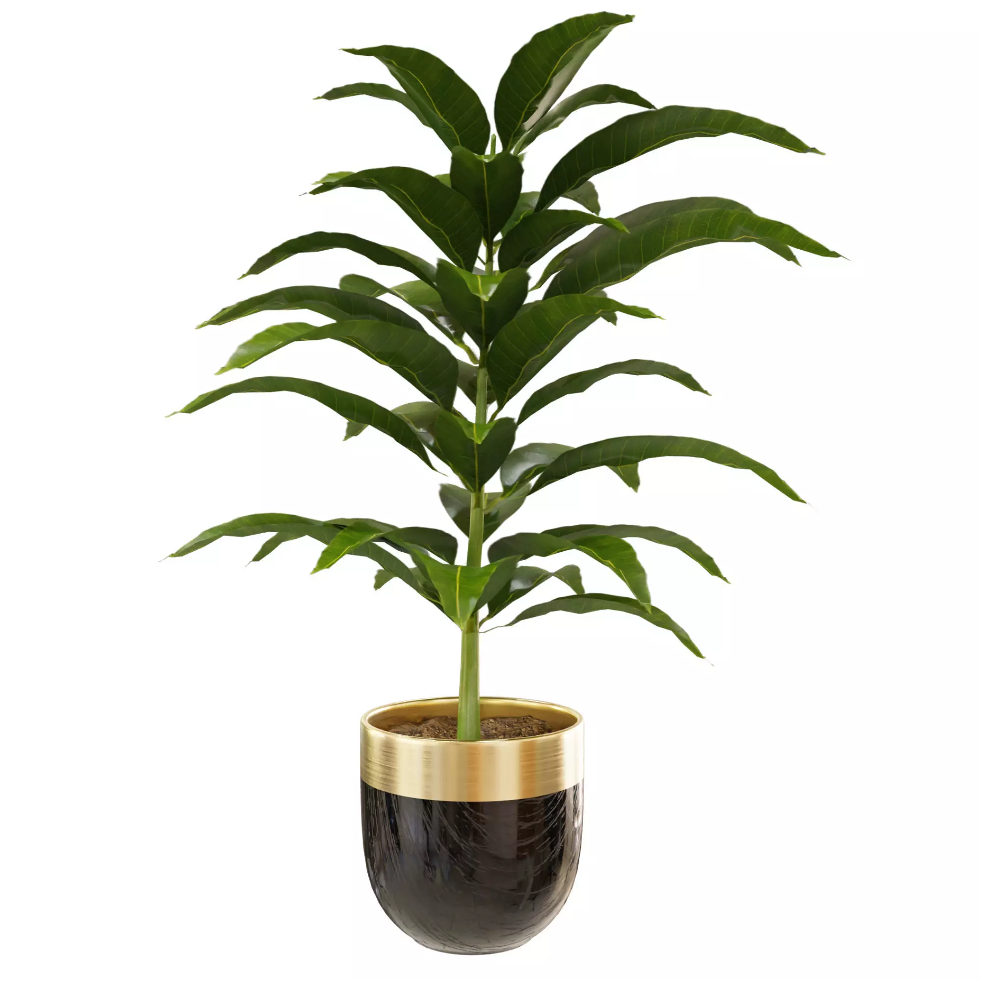 plant 7 3D model_0