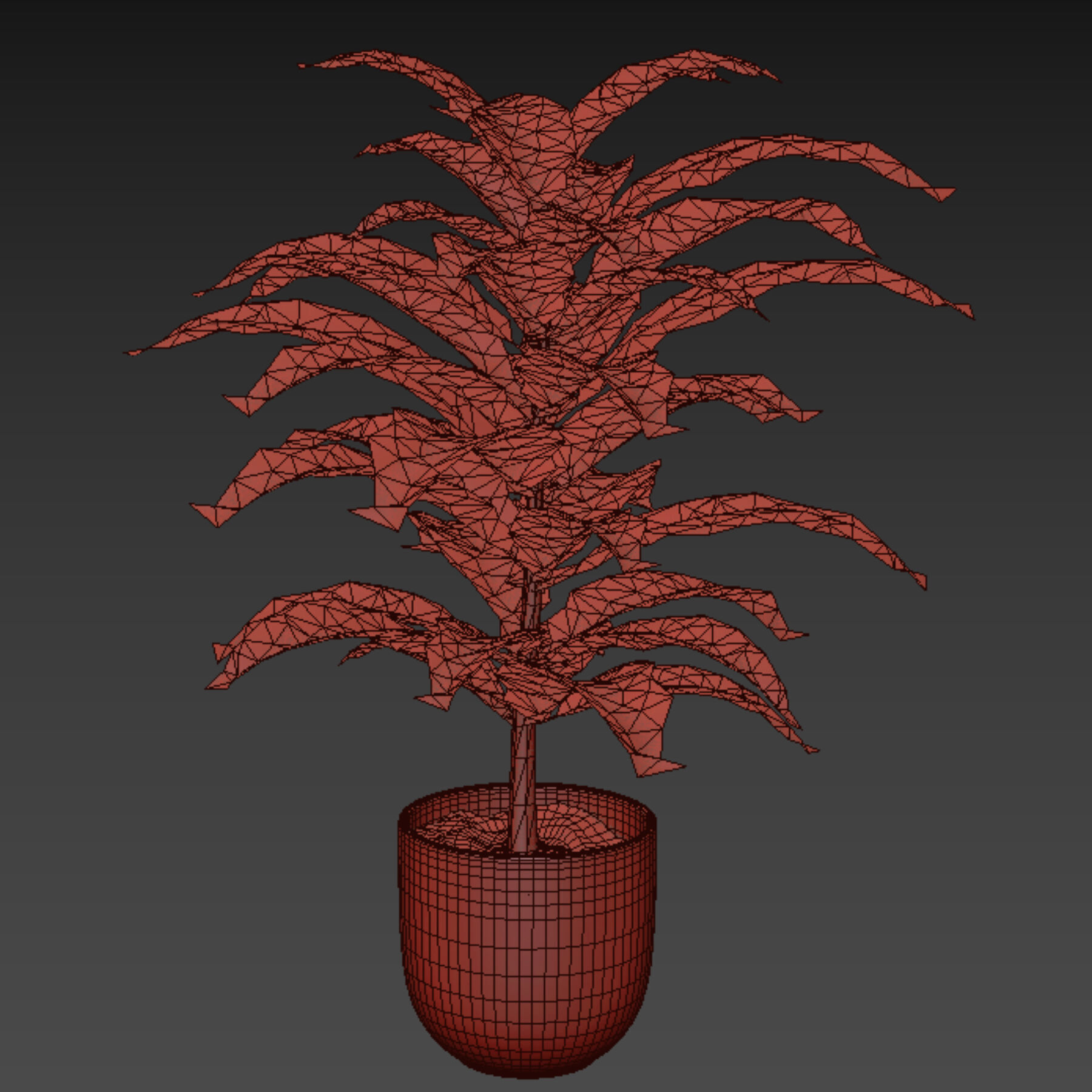 plant 7 3D model_2