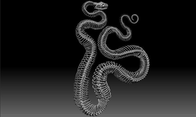 skillet snake 3D print model