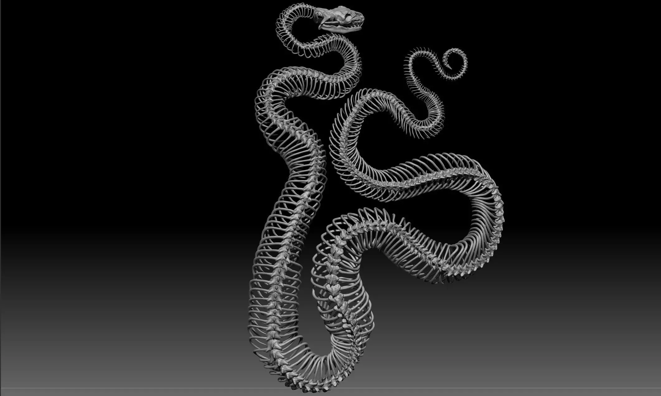 skillet snake 3D print model