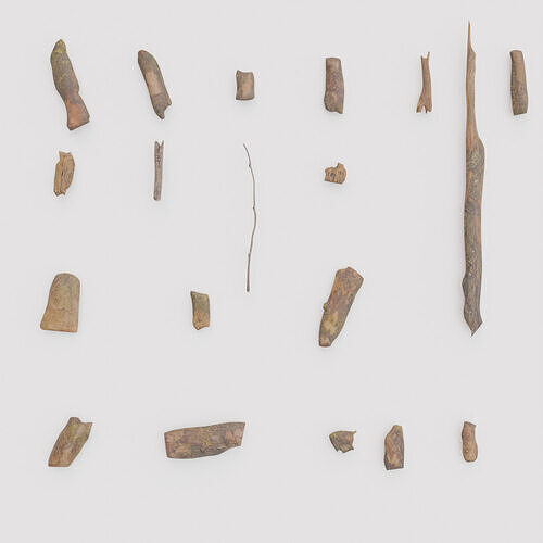 Tree Debris Collection - Realistic Wood Fragments Free 3D model
