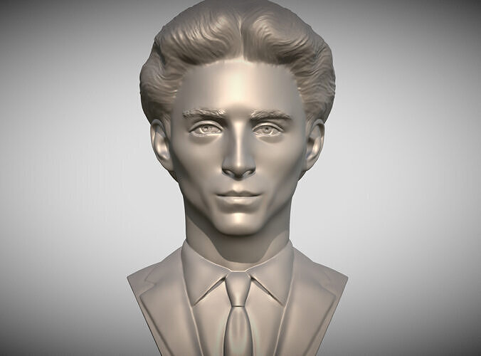 Timothee Chalamet bust for 3D printing 3D print model