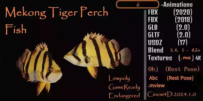 Mekong Tiger Perch Fish Low-poly 3D model