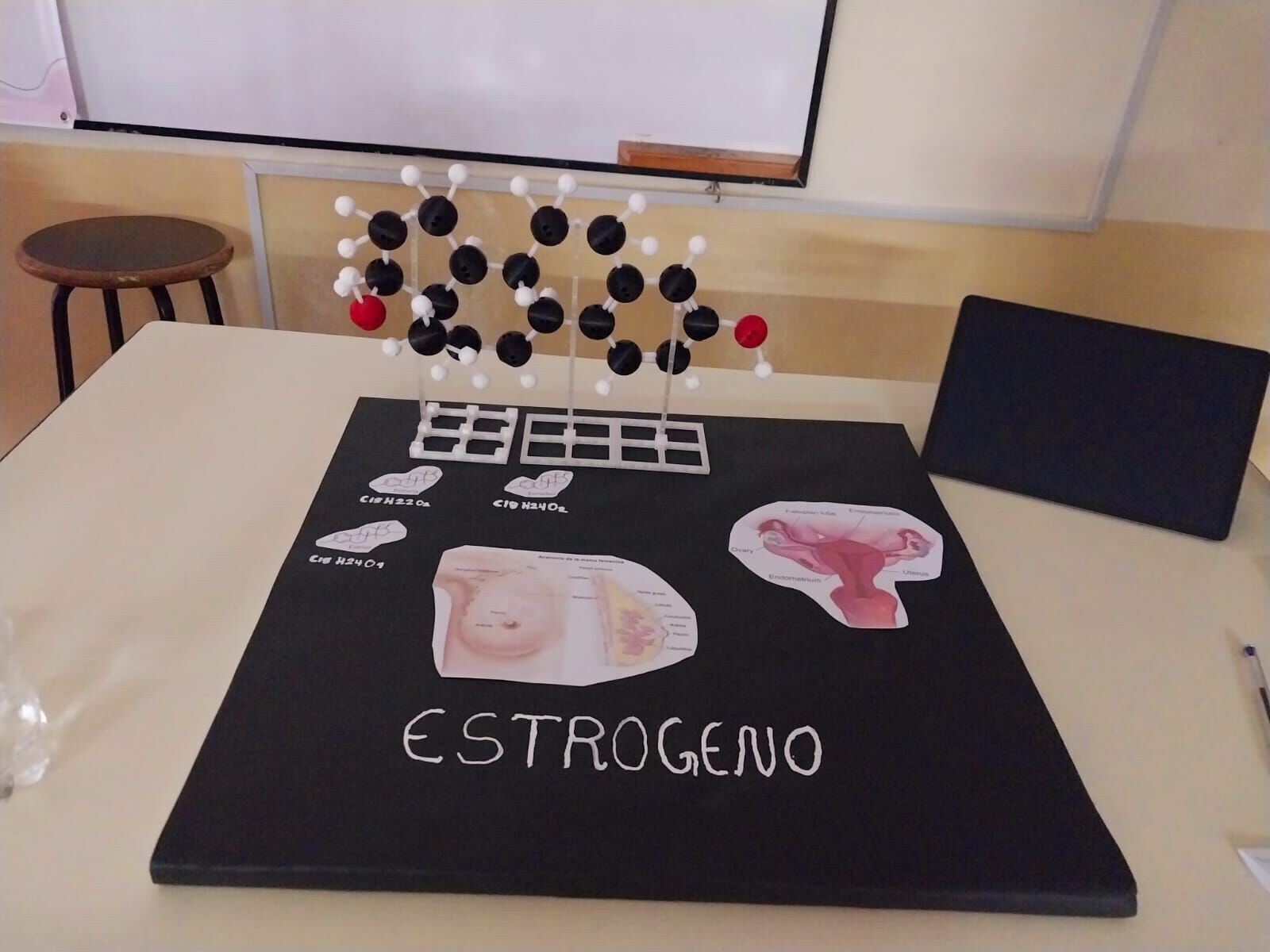 Buildable Biochemical Molecules 3D print model_4