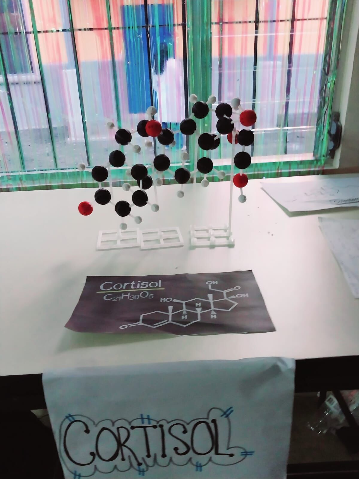Buildable Biochemical Molecules 3D print model_6
