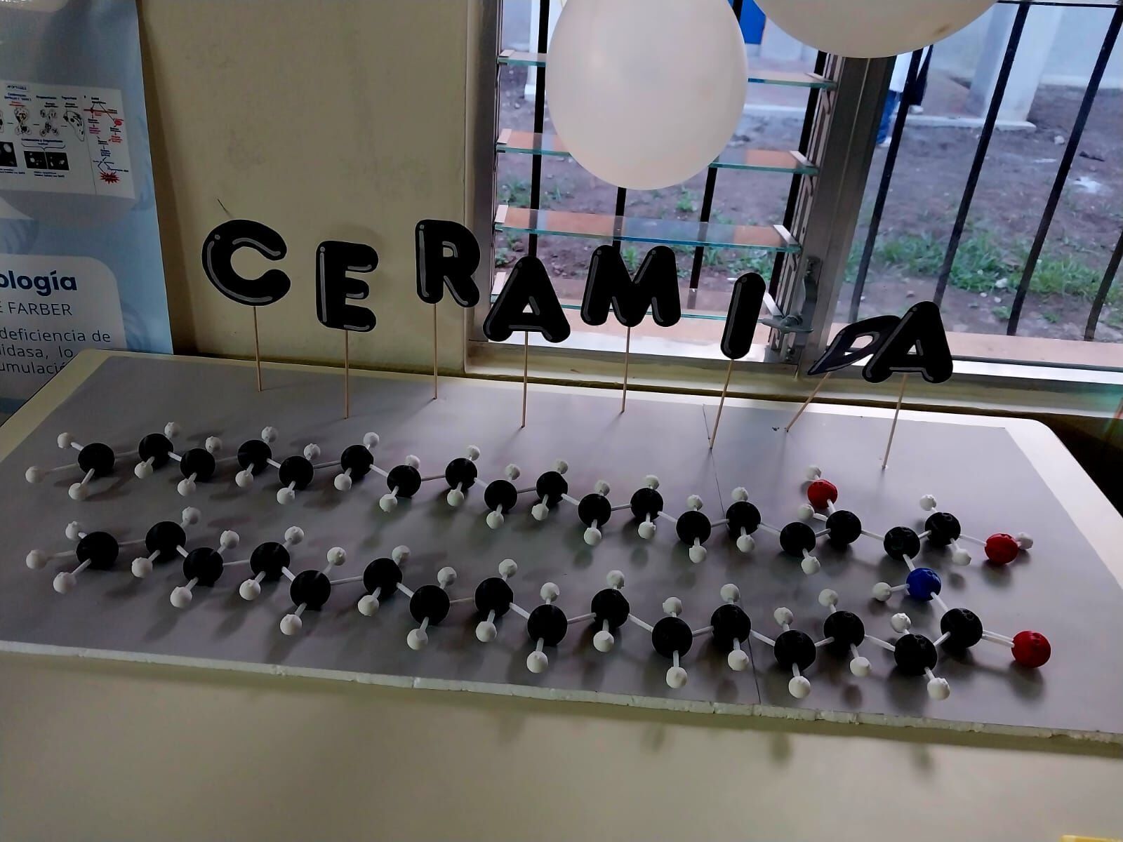 Buildable Biochemical Molecules 3D print model_3