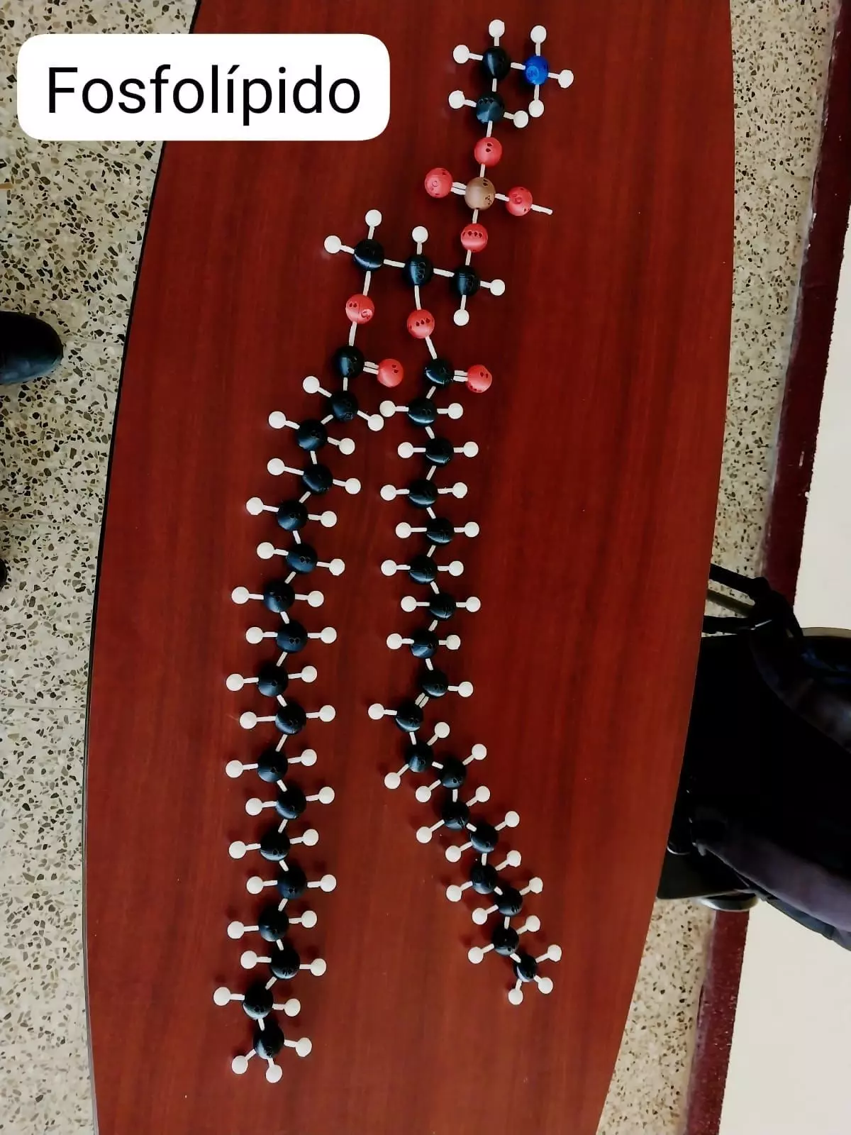 Buildable Biochemical Molecules 3D print model_0