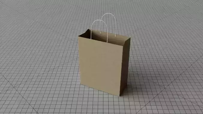 Bag Paper Shopping