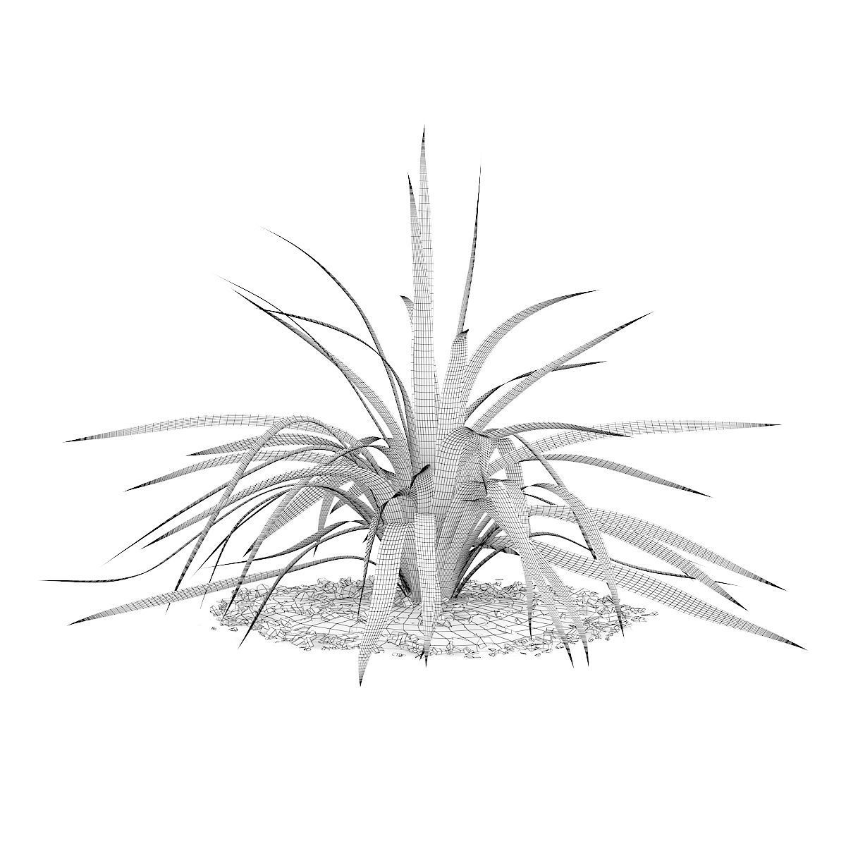 Yellow Yucca Plant Yucca arkansana 3D model_1