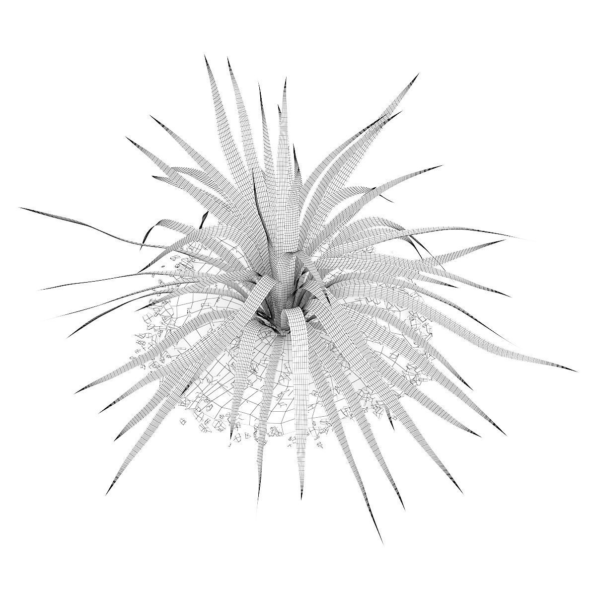 Yellow Yucca Plant Yucca arkansana 3D model_5