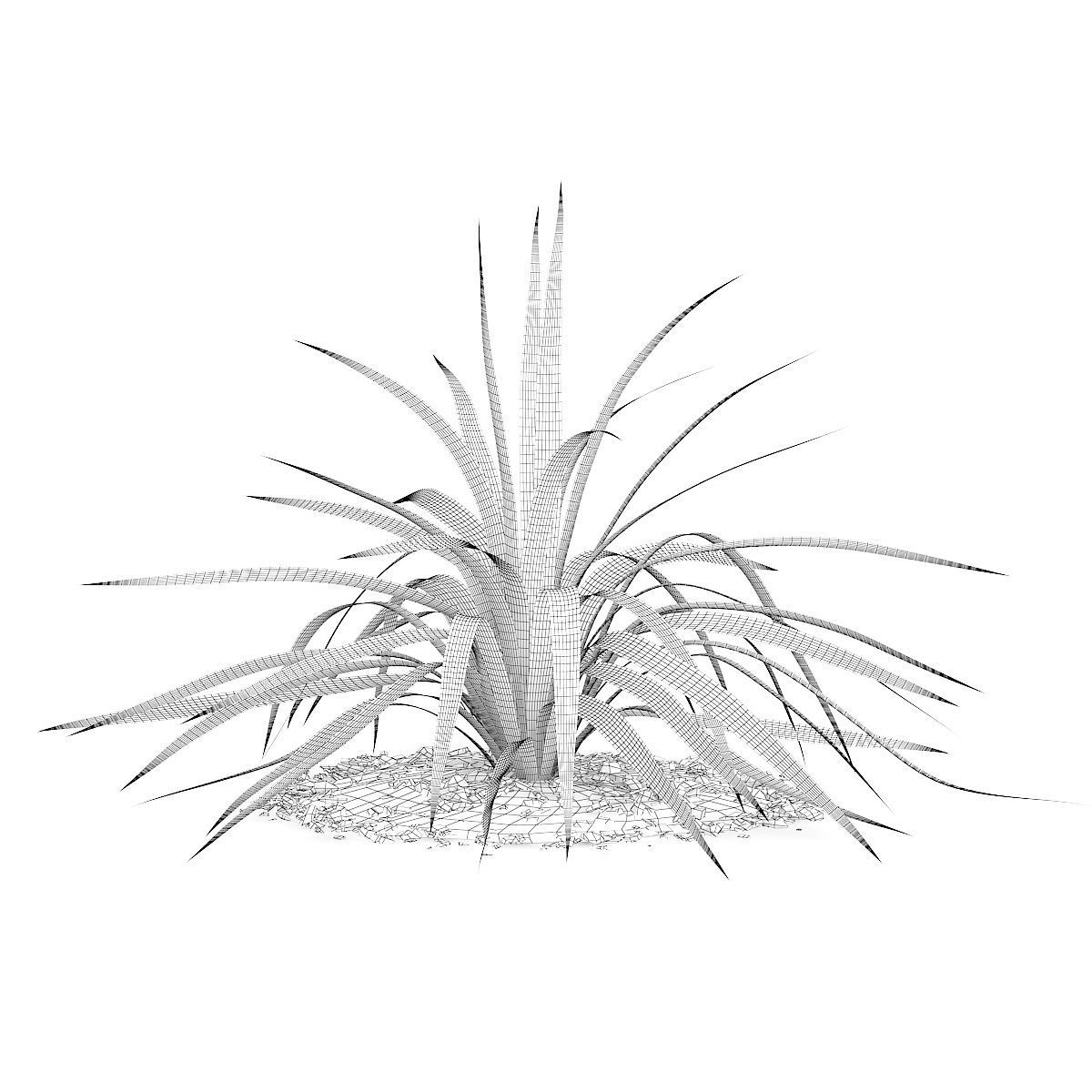 Yellow Yucca Plant Yucca arkansana 3D model_3