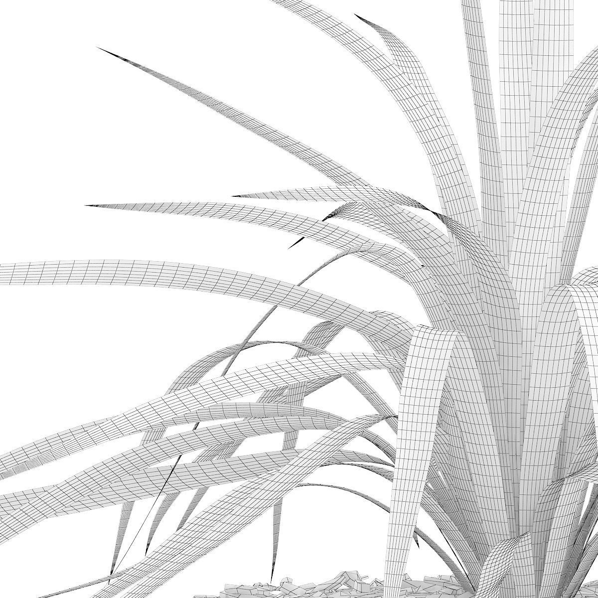 Yellow Yucca Plant Yucca arkansana 3D model_7