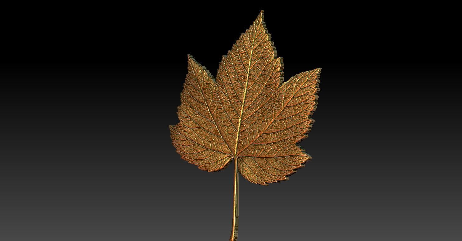 1 maple leaf CNC Relief Model 3D print model_2