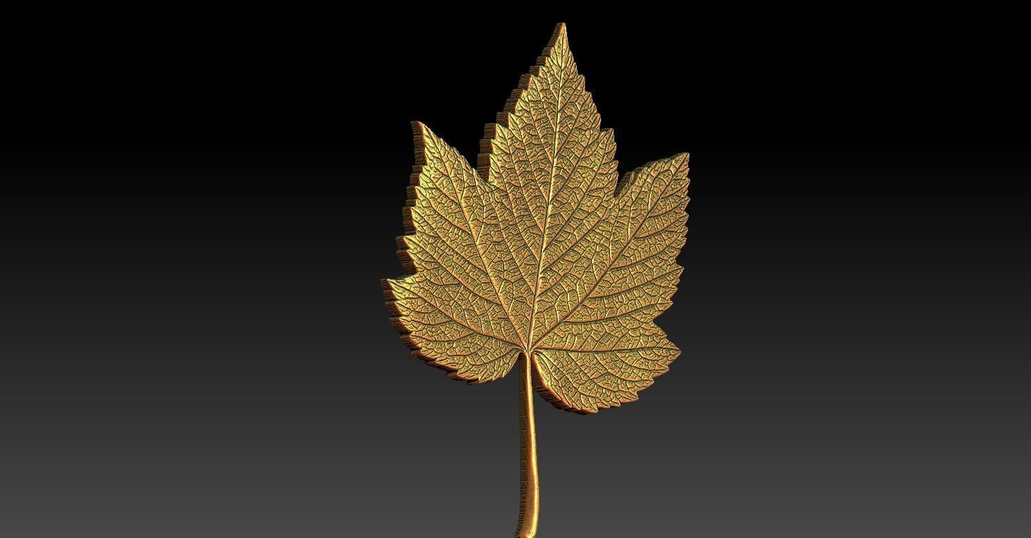 1 maple leaf CNC Relief Model 3D print model_3