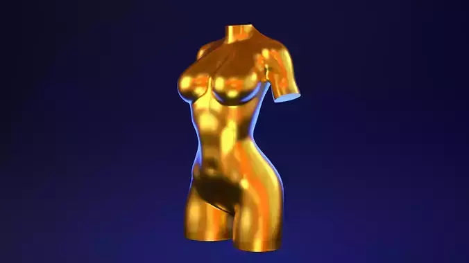 Female Torso 5