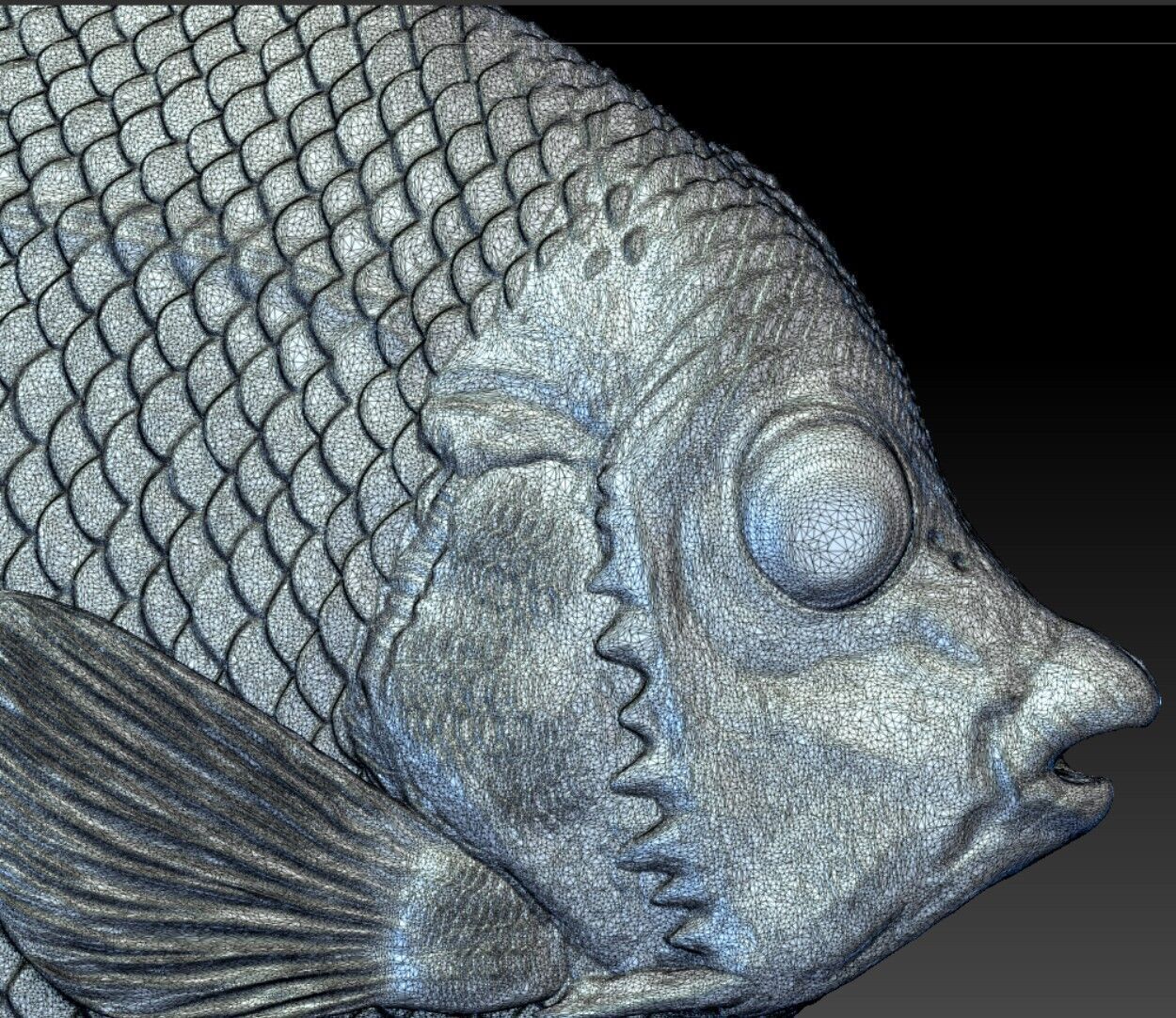 Angelfish Regal  Pygoplites diacanthus 3D print model_3