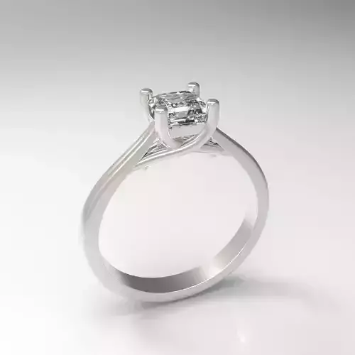 Elegant Cathedral Engagement Ring for Princess Cut Stone