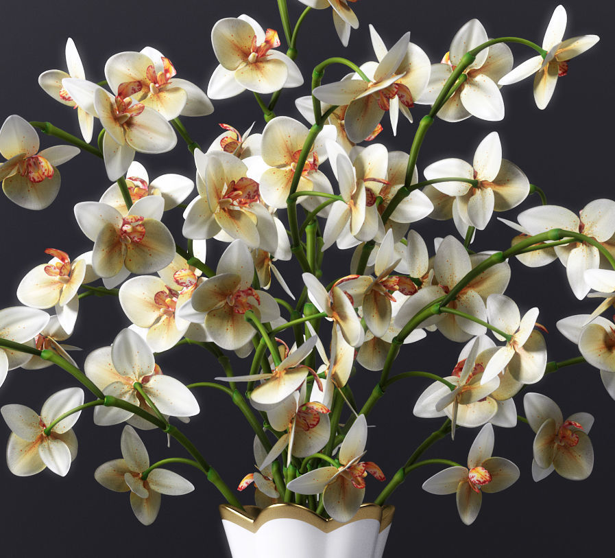 Orchid orchids in gold vase 3D model_4