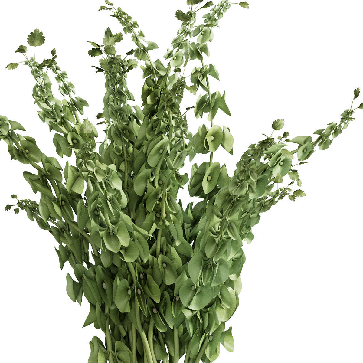 Flower In Vase 65 3D model_5