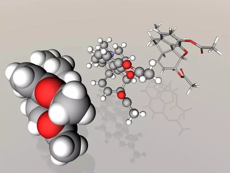 Heroin molecule 3D model_0