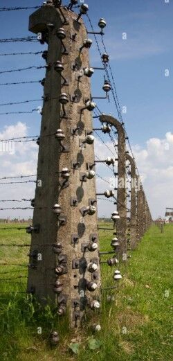 Auschwitz-birkenau Diorama 3D model_5