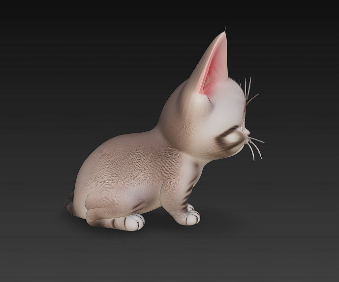 Cat Kitten Realistic 3D Model Basic - Low Poly Realistic Low-poly 3D model_4