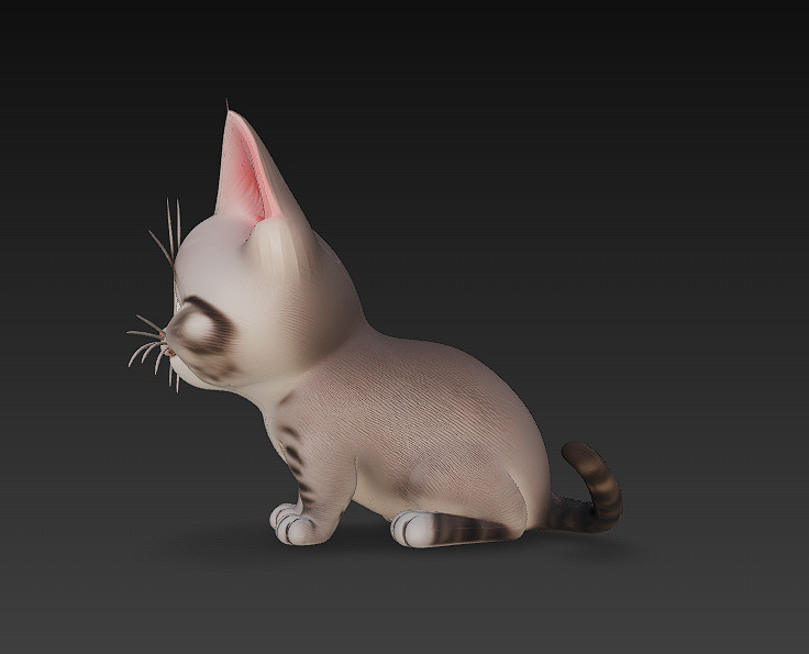 Cat Kitten Realistic 3D Model Basic - Low Poly Realistic Low-poly 3D model_5