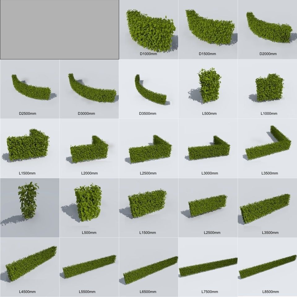 hedge system 3D model_2