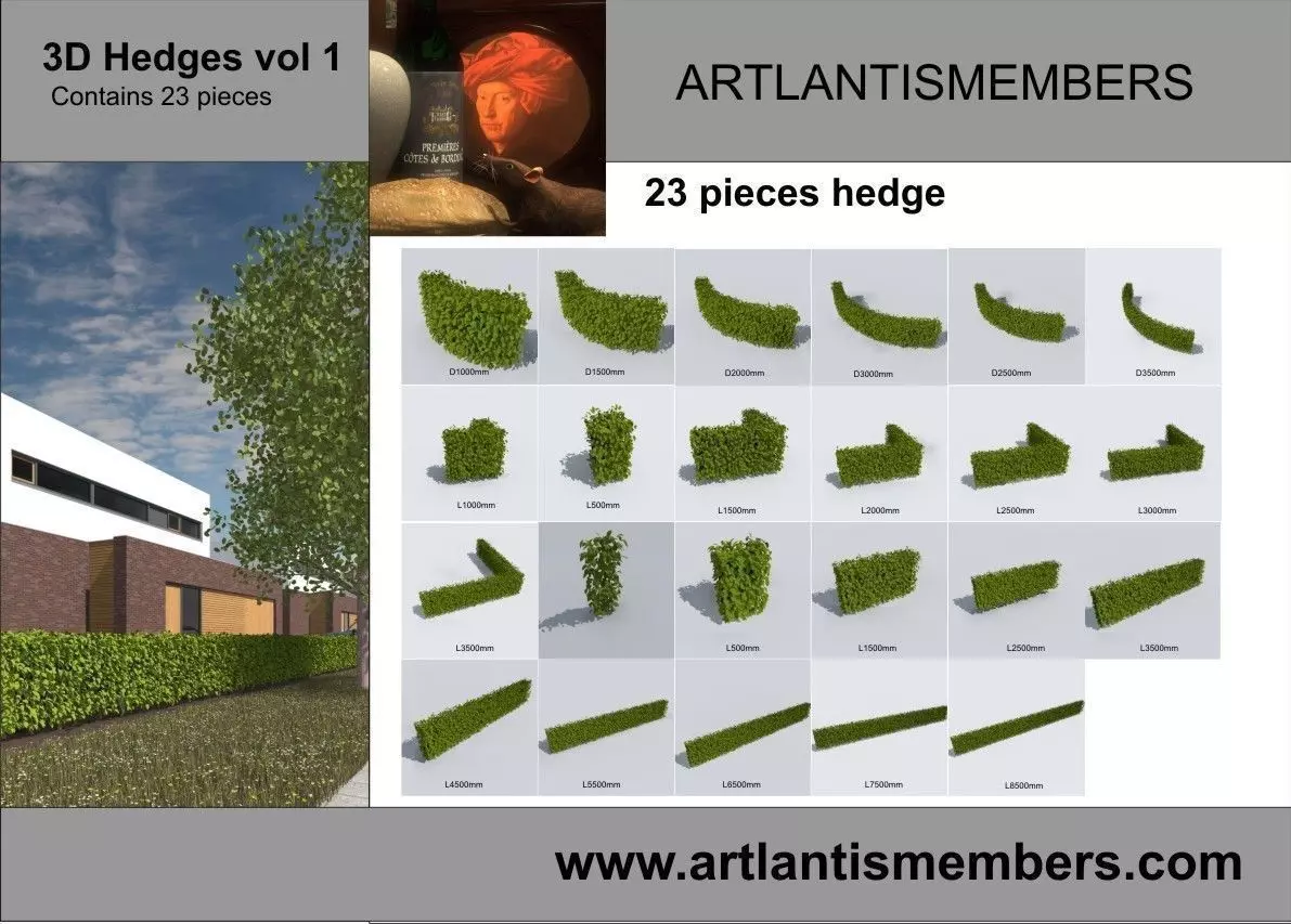 hedge system 3D model_0