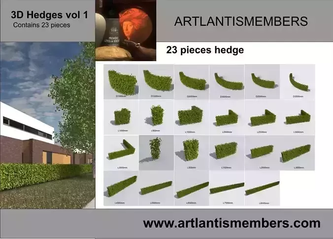 hedge system 3D model