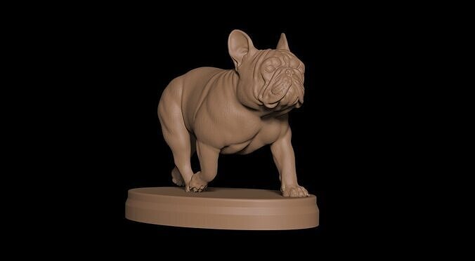  Bulldog Frances 3D print model