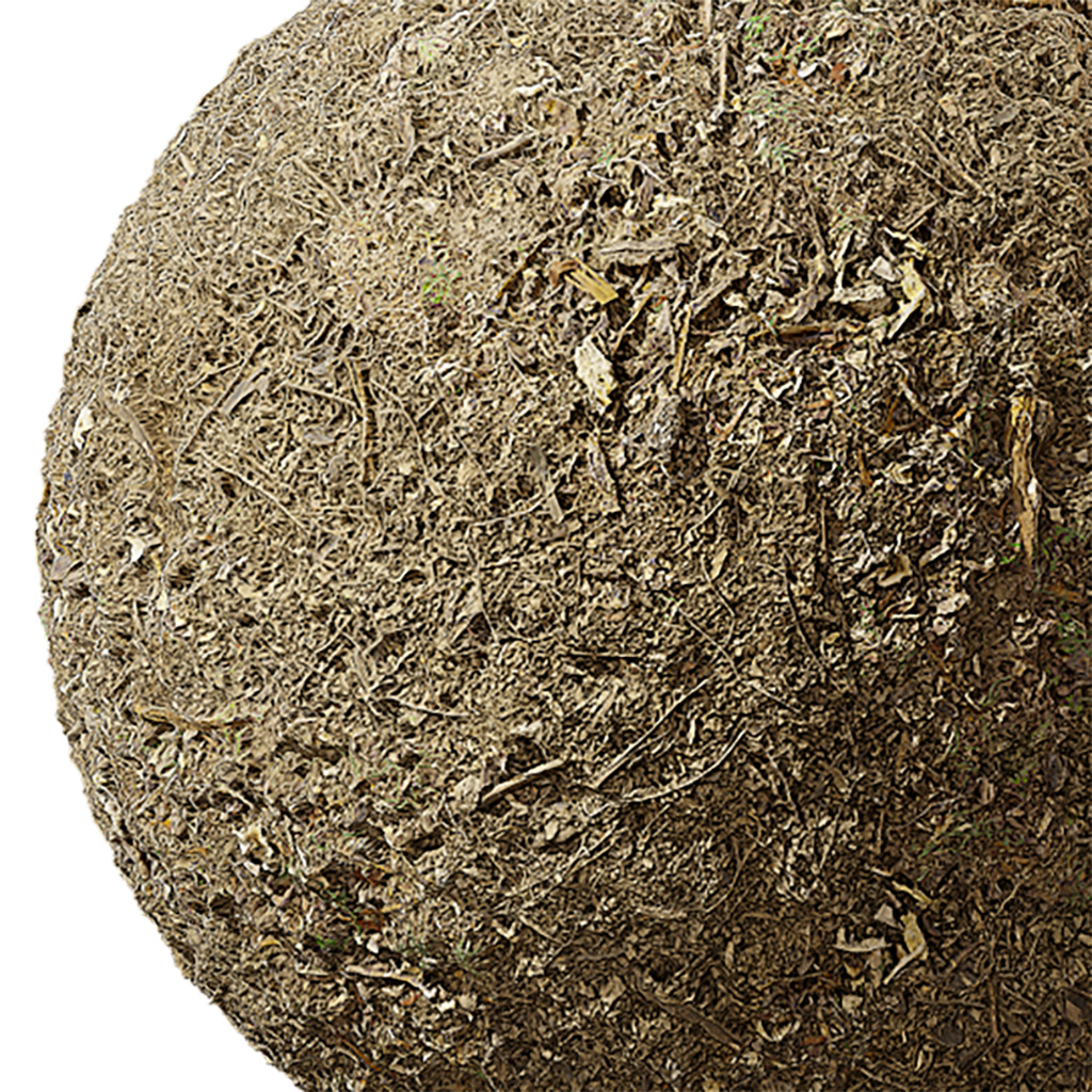 Soil Seamless Texture 2K - EXR 5 - JPG 5 Texture  Texture_4