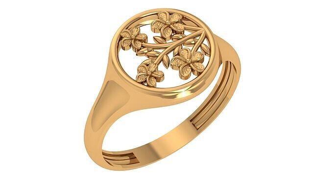 Plan Rings- Ckeck Description 3D print model