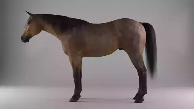 Realistic horse Low-poly 3D model
