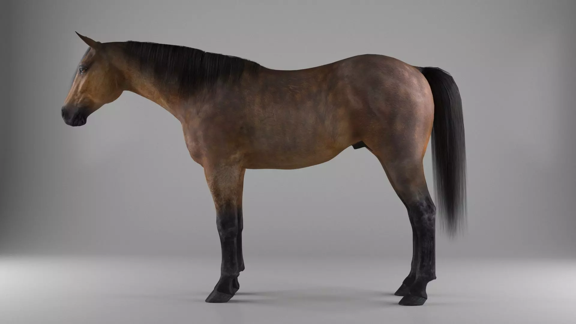 Realistic horse Low-poly 3D model