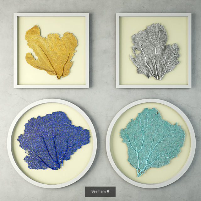 Sea Fans Collection _6