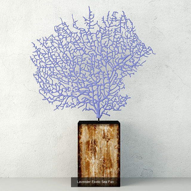 Sea Fans Collection _7