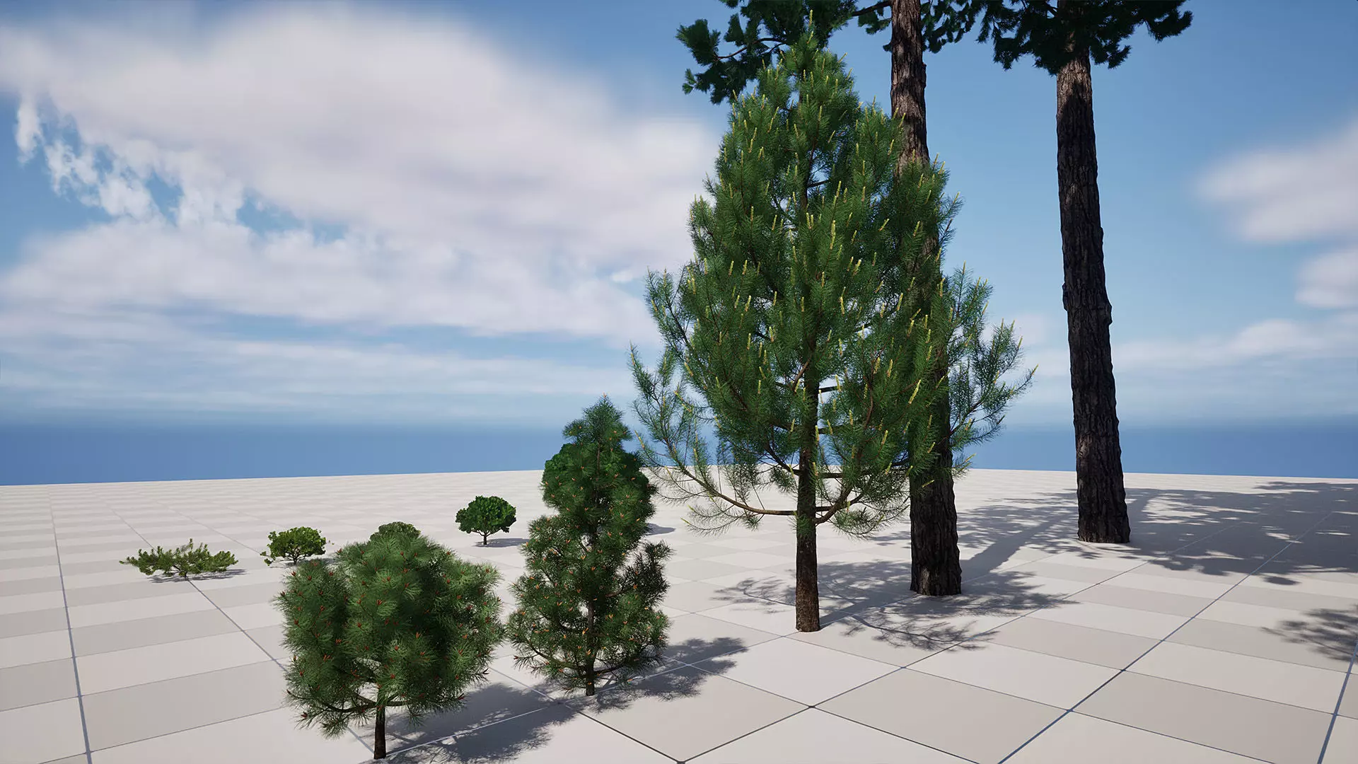 AB3D Plants - Volume 10 Pines for UE 5 30 types 3D model_10