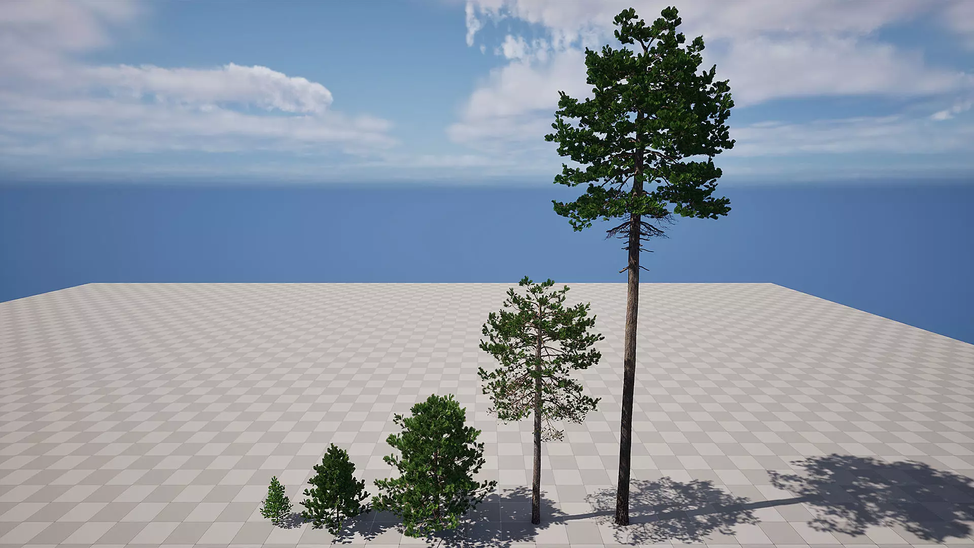 AB3D Plants - Volume 10 Pines for UE 5 30 types 3D model_5