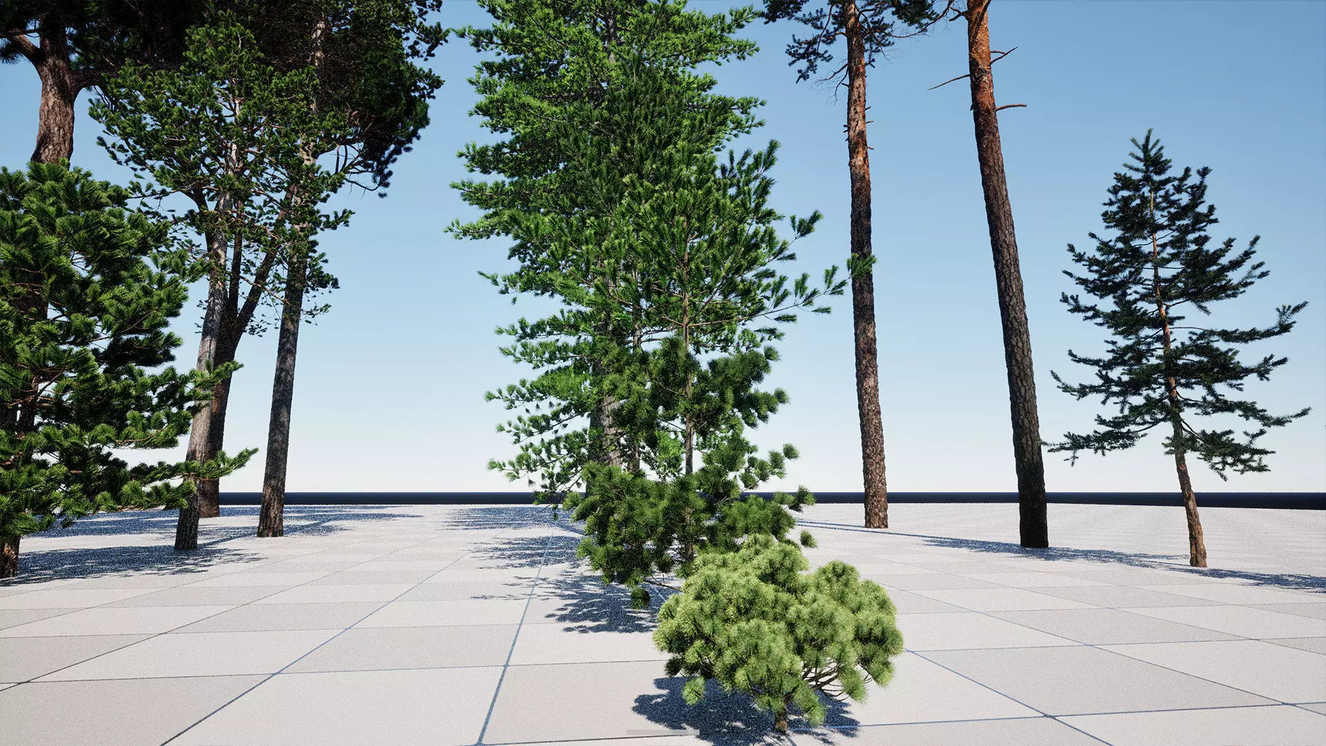 AB3D Plants - Volume 10 Pines for UE 5 30 types 3D model_17