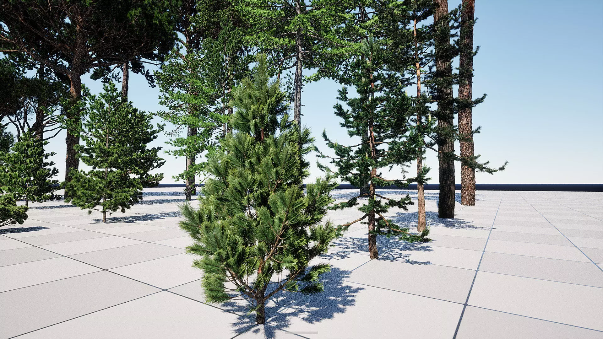 AB3D Plants - Volume 10 Pines for UE 5 30 types 3D model_18