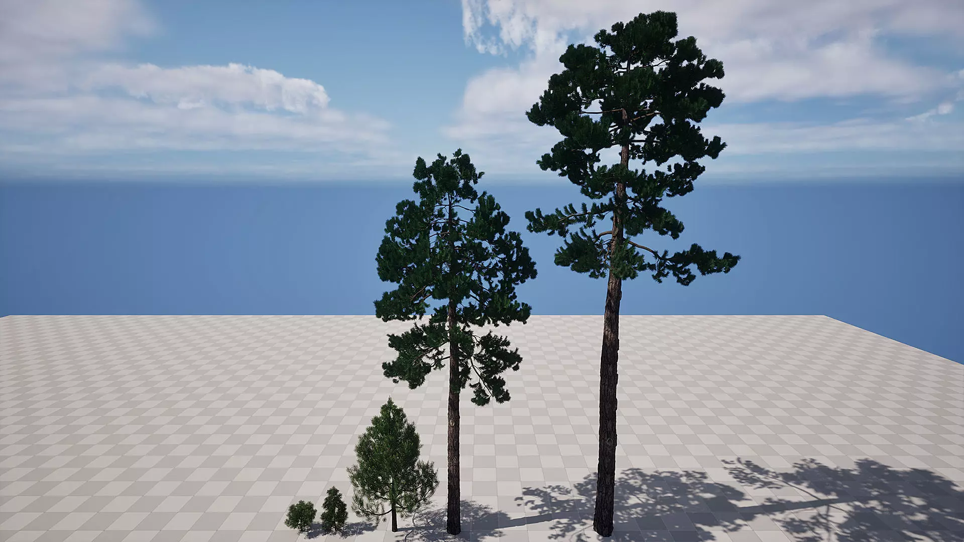 AB3D Plants - Volume 10 Pines for UE 5 30 types 3D model_3