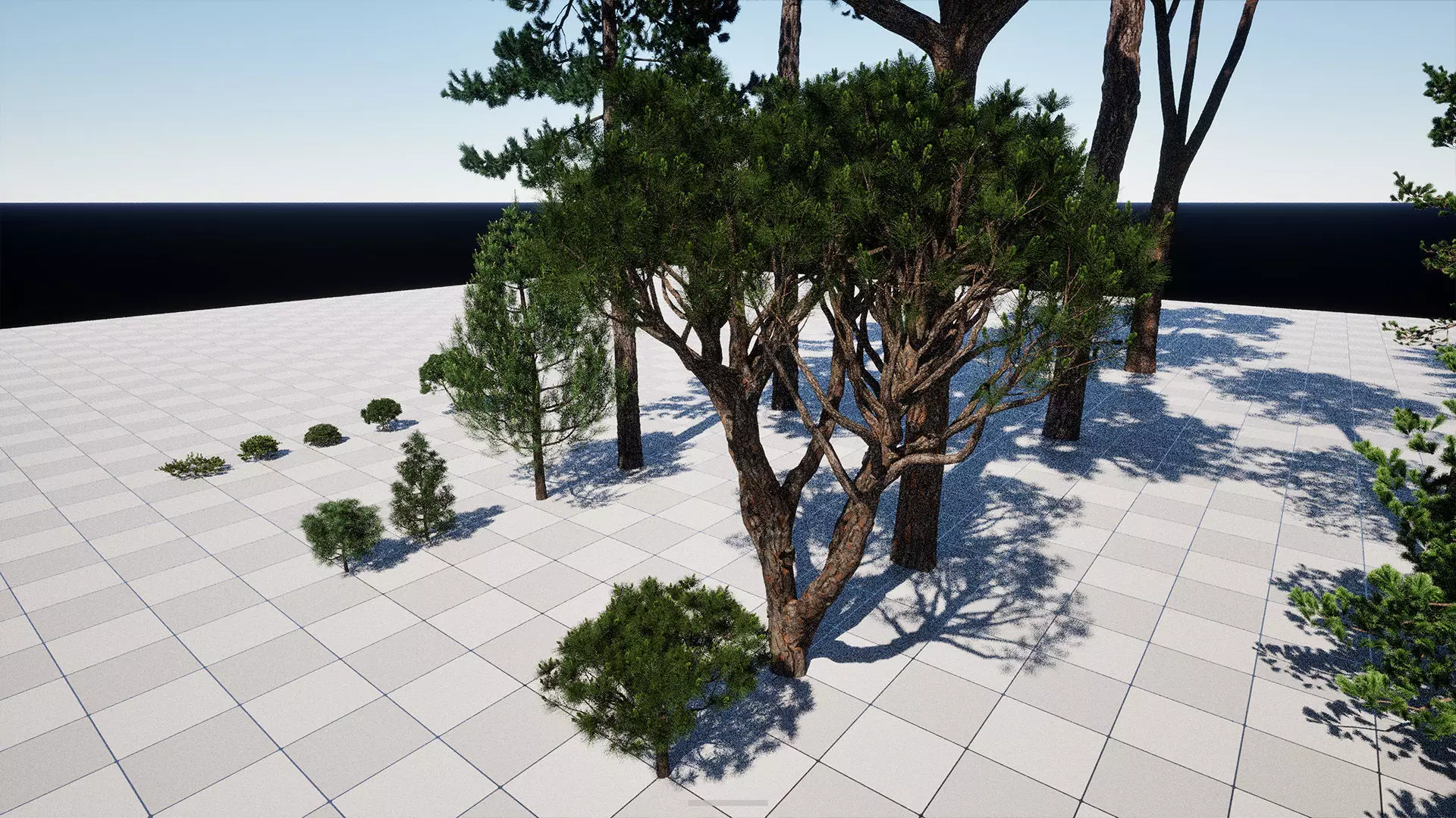 AB3D Plants - Volume 10 Pines for UE 5 30 types 3D model_12