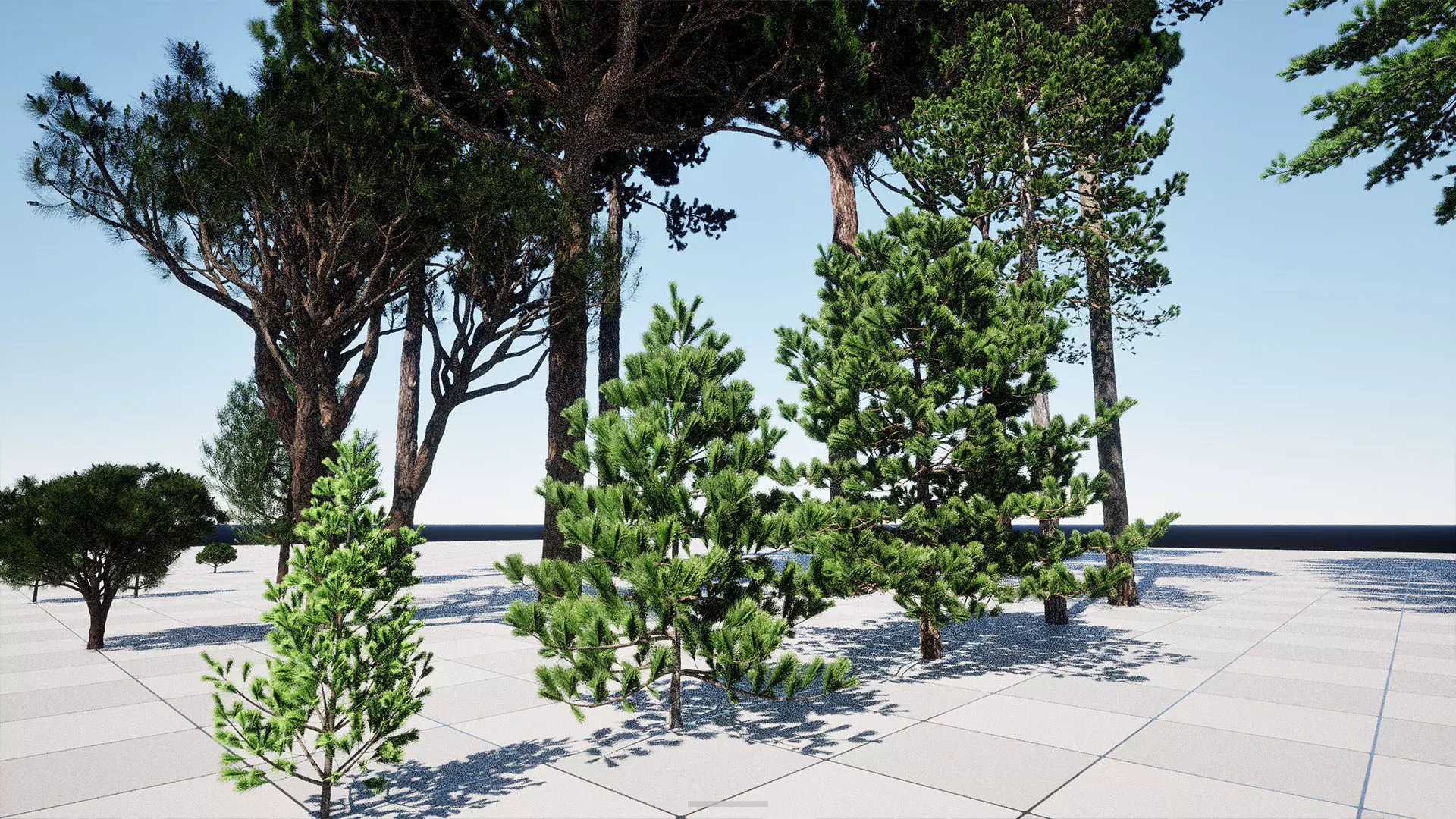 AB3D Plants - Volume 10 Pines for UE 5 30 types 3D model_15