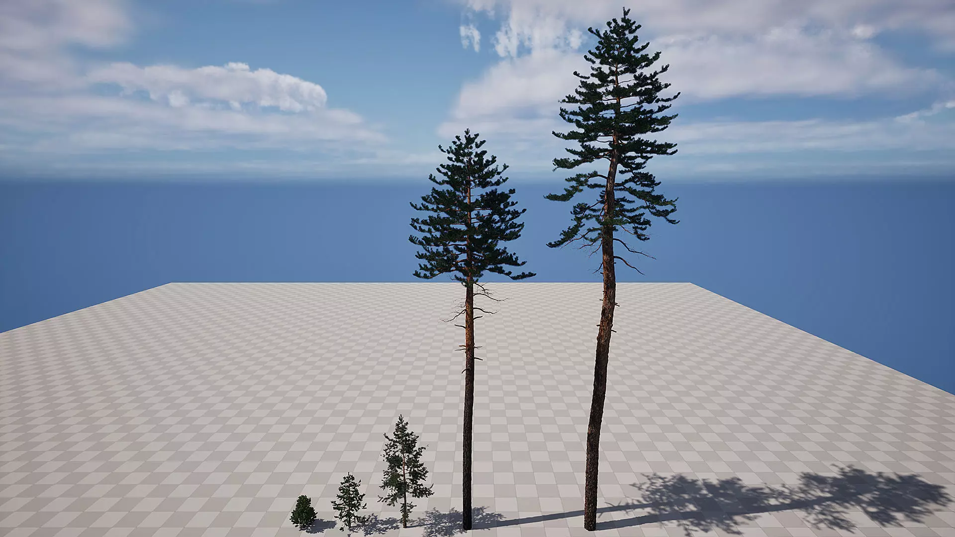 AB3D Plants - Volume 10 Pines for UE 5 30 types 3D model_7