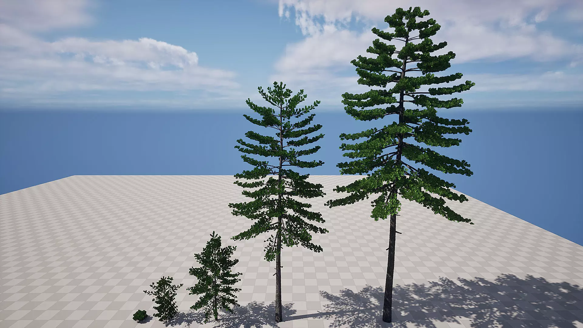AB3D Plants - Volume 10 Pines for UE 5 30 types 3D model_6