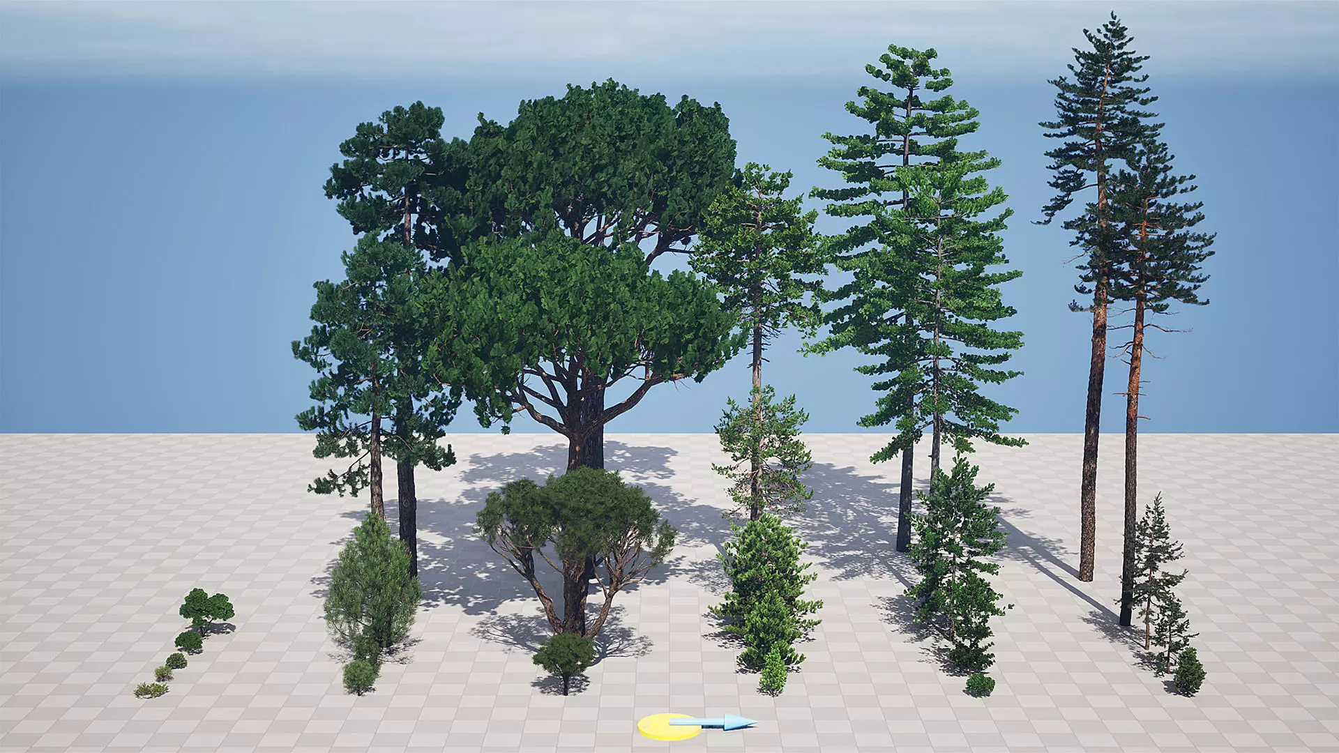 AB3D Plants - Volume 10 Pines for UE 5 30 types 3D model_0