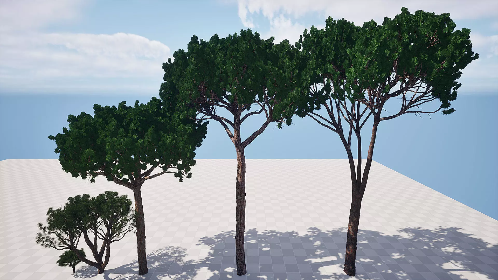 AB3D Plants - Volume 10 Pines for UE 5 30 types 3D model_4