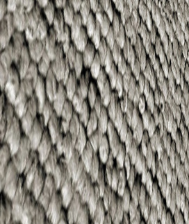 Wardrobe 3D model_18