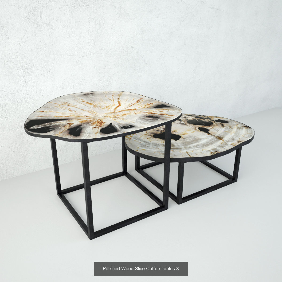Petrified Wood Slice Coffee Tables collection _4